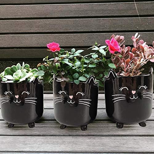 Miniatura 7 de Macetero para plantas suculentas de cerámica para interiores, macetas novedosas para el hogar, oficina, jardín (gato negro, grande, 1)