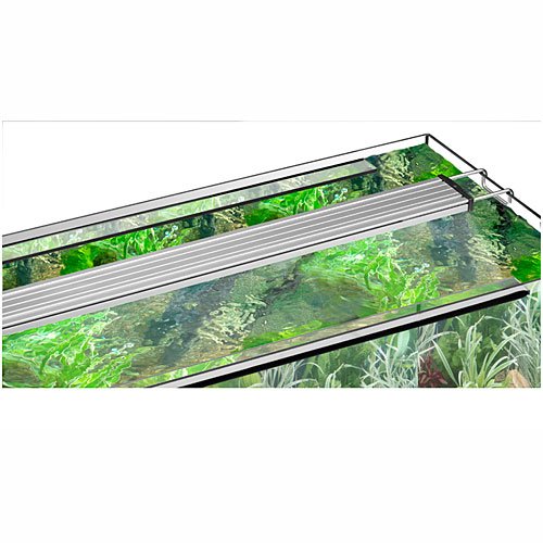 Eheim powerLED+ Fresh Daylight 1074 mm LED-Aquarienbeleuchtung