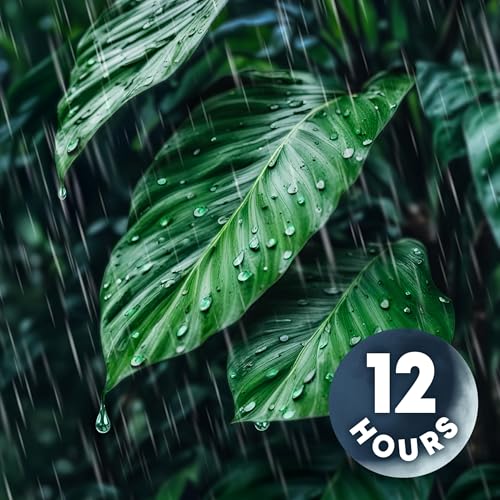Rainforest Rain Sounds with Tropical Birds Singing! | 12 Hours Podcast Por arte de portada