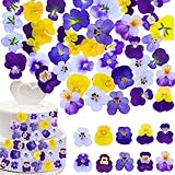 PureHabitat 60 Pcs 10 Colors Natural Dried Pressed Edible Viola Tricolor Flowers for Cake Topper Decoration β for Cupcake Toppers Cocktails Resin Jewelry DIY Crafts (Purple)