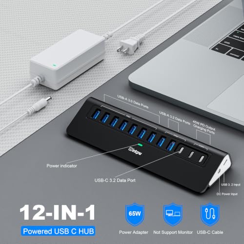 Image of Powered USB Hub 10Gbps, intpw YH9AC 12-Port USB C Hub with 10Gbps USB C 3.2, 2 USB A 3.2, 7 USB 3.0, 2 PD 45W Charging Port, 65W Power Adapter + 3.3FT Cable, Aluminum USB Hub for Laptop /iPhone16 /15 /PC
