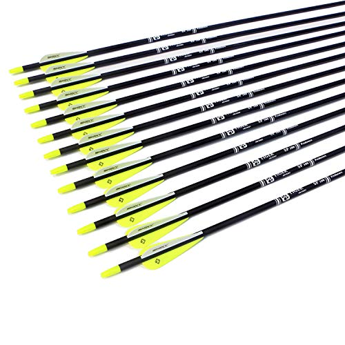 Image of TIGER ARCHERY 30 inch Carbon Arrows for Compound Recurve Bow Hunting Target