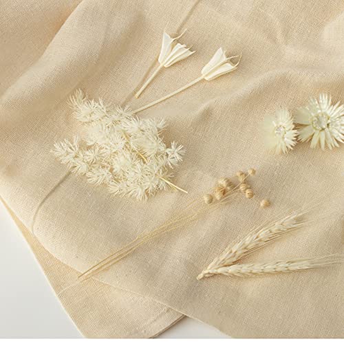 LAUMOE Getrocknete Blumen, Trockenblumen zum Basteln Mini Trockenblumen Set für DIY Epoxidharz Scrapbook Zubehör Handgemachte Heimdekoration Hochzeit (Weiß)