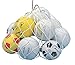 BALL CARRY NET by CHAMPION SPORTS