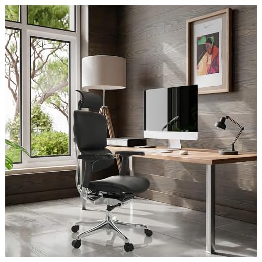 Ergonomischer Bürostuhl ERGOHUMAN GEN2 Schwarz