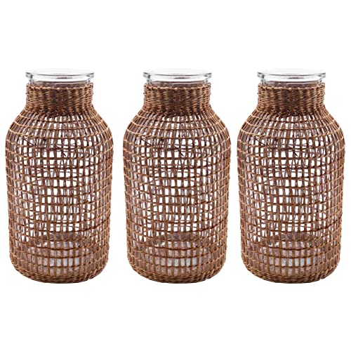 Wsikafxn 3X ǩ_񂳂ꂽnIȐAؔ琅Aւ̂KX̉ԕr{̐Aؔ-L