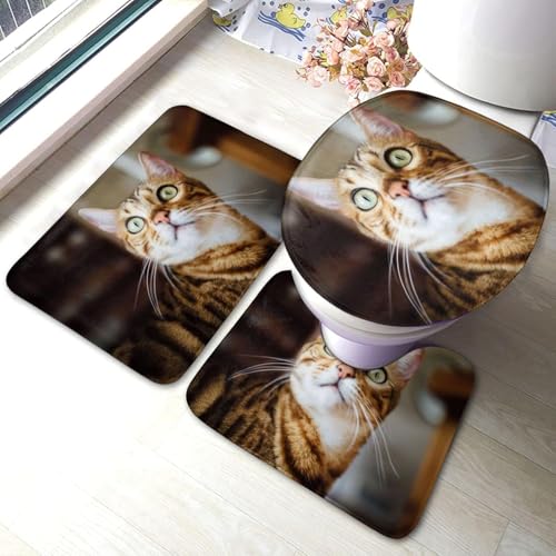 gC}bg Zbg 3_  т ˂ L }bg gCWJo[ U^ O^ gC}bg Zbg ~ z  h ֊ӂJo[ ƒp zep