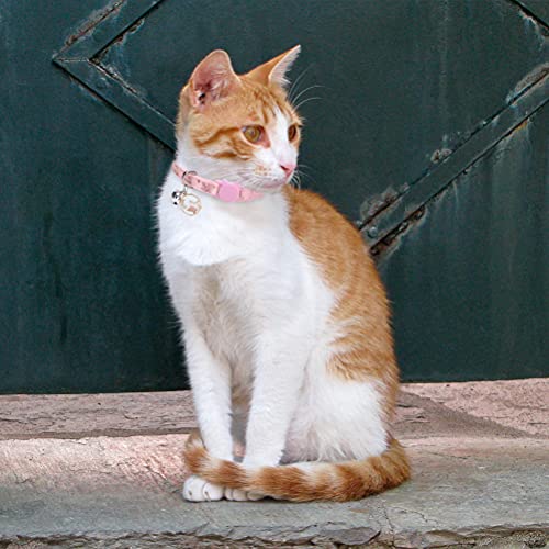 TAILGOO Breakaway Cat Collars with Bell - Star & Moon Pet Collar 3 Pack for Kittens Puppies and Tiny Pets - Image 8