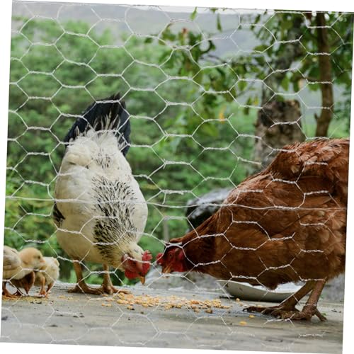 Grillage à poules filet maille hexagonale léger pour jardin 3pcs - 6