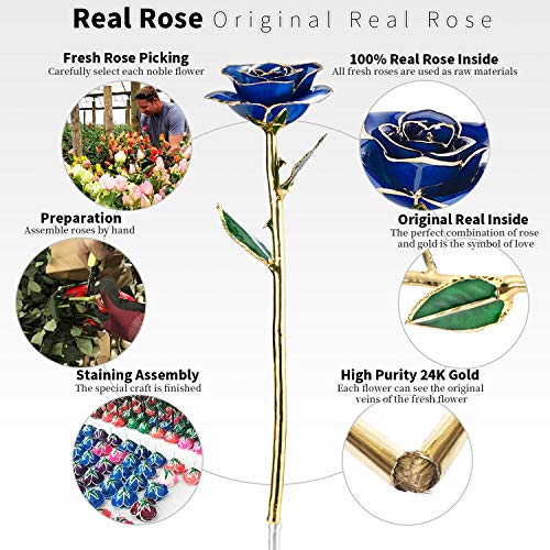 Image of Birthday Rose Gift for her,24k Golden Real Fresh Long stem Rose and Best Birthday Gift for her Rose,Blue with Stand