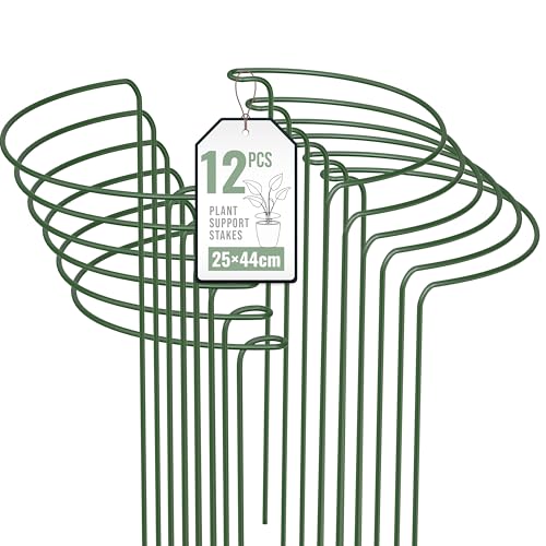 12 Pack Plant Support Stakes 25×44cm Metal Plant Supports Ring Cage for Garden Sturdy Half Round Garden Plant Supports for Vegetable Tomatoes Peony Roses Lavender Flowers