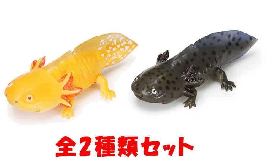 Amazon | いきもの大図鑑レプティ オオサンショウウオとメキシコ
