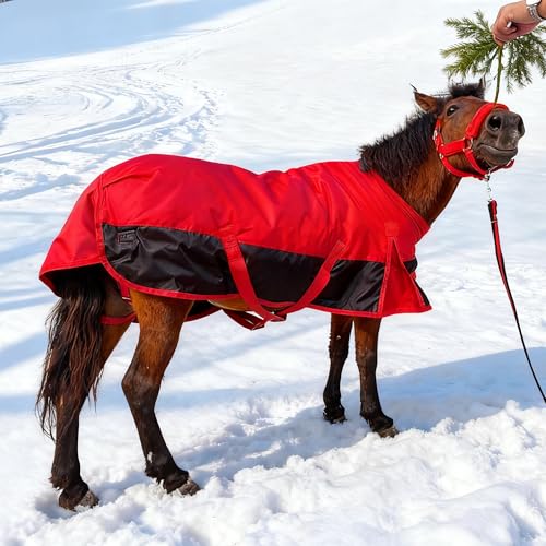 Image of Mini Horse /Pony /Donkey /Miniatur Horse Turnout Blanket, 1600D 220g Fill | Winter Turnout Blanket for Foal & Pony, Waterproof with Secure Adjustable Fit, Ideal for Stables, Paddock and Outdoor Turnout