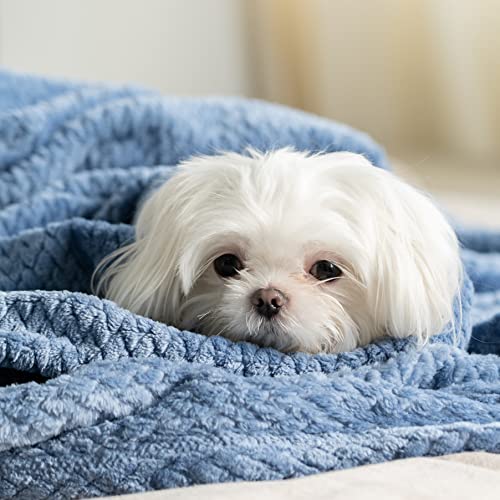 Kingole Flannel Fleece Luxury Throw Blanket, Sapphire Blue Twin Size Jacquard Weave Pattern Cozy Couch/Bed Super Soft And Warm Plush Microfiber 350Gsm (66 X 90 Inches) #TOP2
