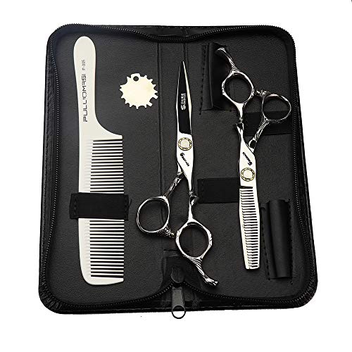 Ciseaux de coiffure 6 pouces avec boîtier élégant en acier haute précision