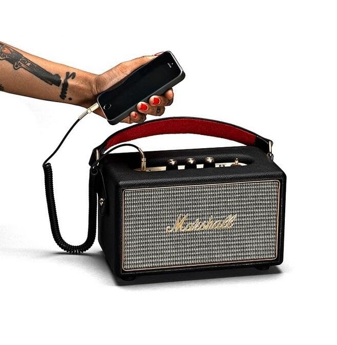 Marshall スピーカー・アンプ 変換ケーブル付き Marshall | 交換用