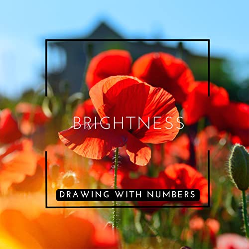 Drawing With Numbers