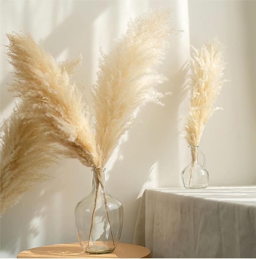 Pampas Grass grande 50-60cm decorativo natural miniatura 3