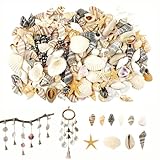 200 Pezzi Combinazione di Conchiglie e Strombi Naturali Misti Adatta Per Realizzazione di Bracciali Collane Gioielli Decorazione d