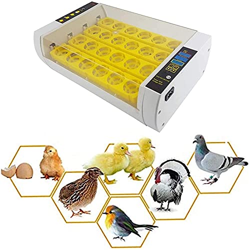 Automatische ei-incubator, 24 eieren geleid hoog-efficiëntie automatische temperatuurregeling, automatische ventilatie… - Afbeelding 3