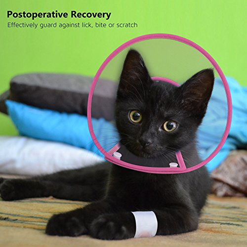 PETBABA Cat Cone Collar in Recovery, Clear Elizabethan Not Block Vision, Soft Padded E-Collar Protect Neck, Suitable Kitten Puppy Dog Pet in Surgery Remedy Grooming - S in Rose
