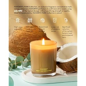 96NORTH Luxury and Pure Coconut Candles | 3 Wick and 1 Wick Jar Candles | Relaxing Aromatherapy Aesthetic Candle 96NORTH Luxury and Pure Coconut Candles 3 Wick and 1 Wick Jar Candles Relaxing Aromatherapy Aesthetic Candle