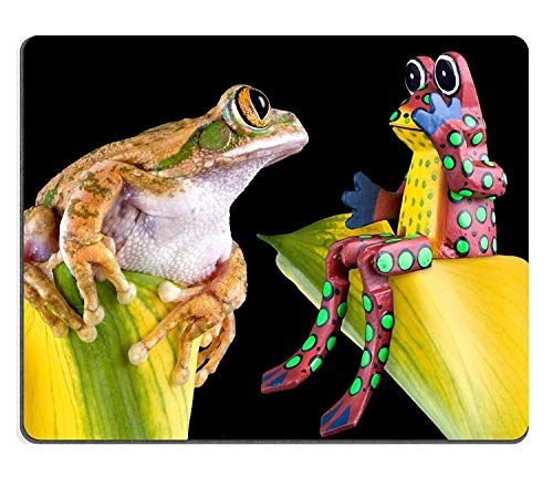 VRSQ[}EXpbh}bgڂJ؂̃JG͋悤Ȃ̃JGĂPM011980