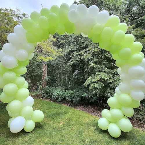 Image of Regular Balloon Combo For Decoration with Glue Dots & Balloon Arch Strip - Party Decor Set For Easy Party Setup (GREEN WHITE, 100)