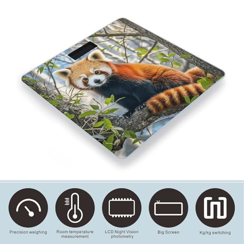 Báscula digital para baño Little Red Panda miniatura 3