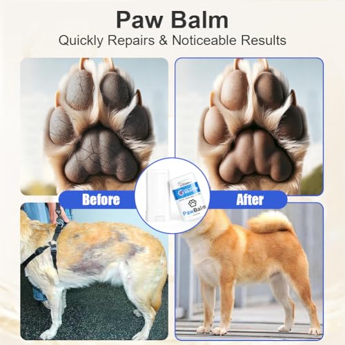 Aomig Pfotenbalsam Hunde Katzen Pfotenpflege mit Natürliche Beruhigende Pfotenschutz Hund Nase Creme Pflegecreme Hundepfoten Rissig Trocken Juckend Empfindlich Wundheilung Schutz Herbst Winter (15g)