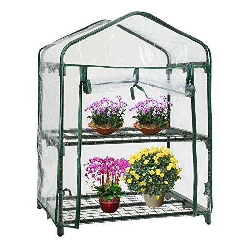 Parkland 2 Tier Mini Greenhouse Cold Frame PVC Plastic Outdoor Garden Steel Frame Plants Grow House