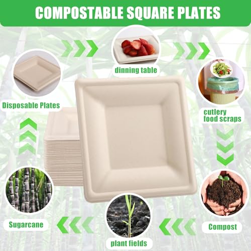 Assiettes biodégradables de fête pour simplifier vos réceptions - 4