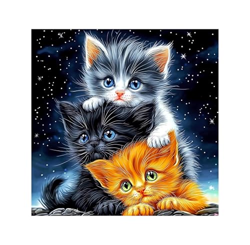 Image of QENSPE Diamond Painting Art Kits for Adults, DIY Three Kittens Full Drill Diamond Art Kits for Beginners, 5D Night Sky Round Diamond Dots Paintings Gem Crystal Crafts Home Wall Decor Gifts 30x30cm