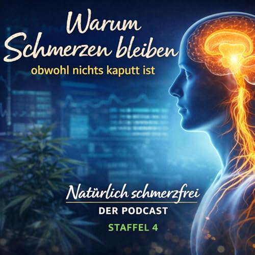 Warum Schmerzmittel bei chronischen Schmerzen oft nicht ausreichen | S04E06