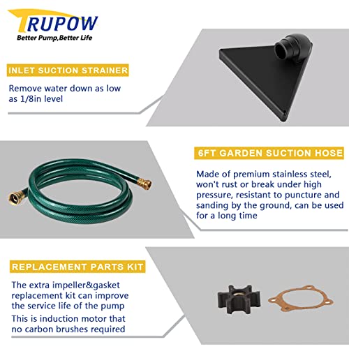 Image of Trupow DC 12-Volt 1 /10HP 330GPH Battery Powered Mini Portable Electric Utility Sump Transfer Water Pump with Water Hose Kit Black