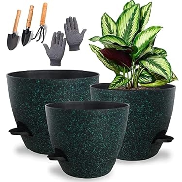 AMAZON - Bnsioeiic Self Watering Pots for Indoor Plants,10/9/8 inch 3 Pack Pots for Indoor Plants, with Deep Reservoir and High Drainage Holes for Indoor Outdoor Plants and Flowers, (Black and Green Spots)