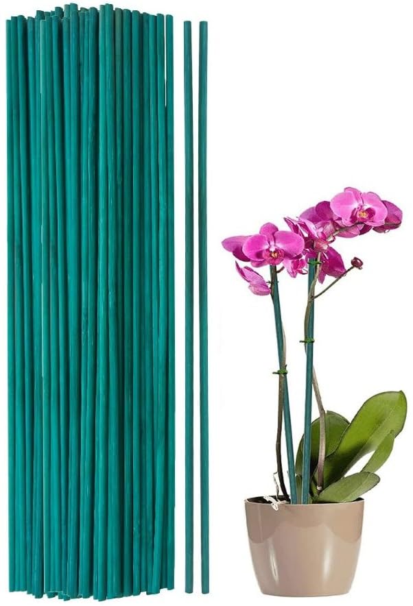 Pack of 50 Green Flower Sticks Bamboo Split Canes Plant Support Stakes (24" - 60cm Long)