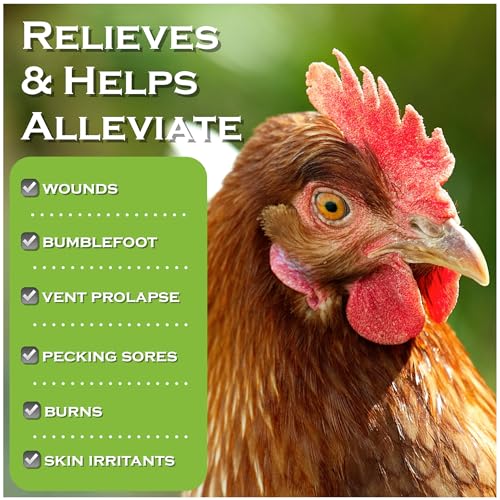 Chicken's Choice Wound Care for Chickens & Birds. Advanced Wound Care Spray for Poultry. Works for Bumblefoot, Vent Prolapse, Pecking Sore, Burns & Skin Irritations. 8 oz Ready to Use Spray - Image 2