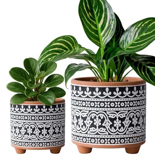 D'vine Dev Set of 2 Terracotta Planter Pots, 4 Inch & 6 Inch, Des...