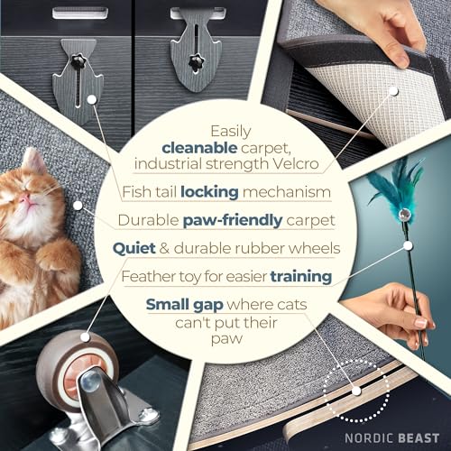 48'' XL Cat Wheel - Cat Wheels for Indoor Cats Which Doesn't Negatively Affect Your Cat's Spine - 15.7'' Extra Wide Cat Treadmill - Fits 2 Cats Side-by-Side, 1-Year Warranty