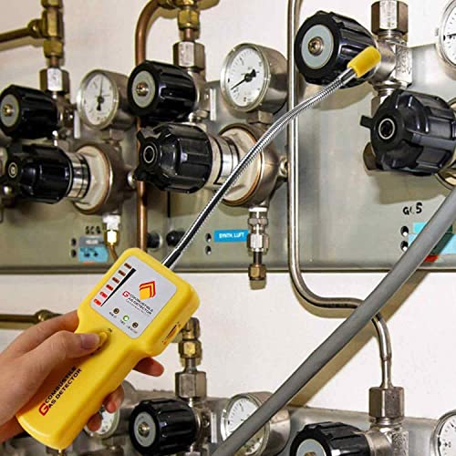 Gas Leak Detector & Natural Gas Detector Portable Gas