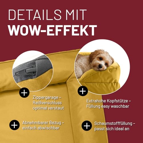 Lumaland orthopädisches Hundebett Outdoor & Indoor | ergonomisches Hundesofa 70x60 cm - ideal für kleine Hunde | Boden rutschfest | Füllung und Bezug waschbar | Hundekörbchen wasserfest