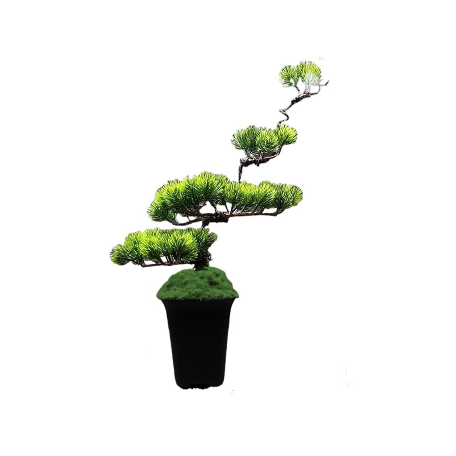 AEJHSIN Artificial bonsai Artificial Plant Bonsai Pine Tree Luohan Fake Green(Color 13)