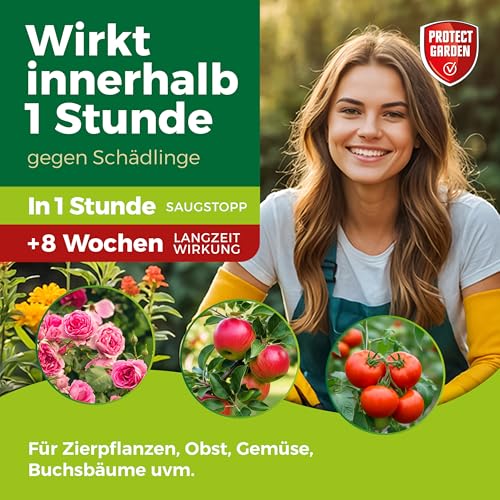 PROTECT GARDEN Lizetan Plus Schädlingsfrei AF, Blattlausfrei, Blattläuse und Schädlinge bekämpfen an Zierpflanzen, Rosen, Obst und Gemüse, 500 ml Spray 2