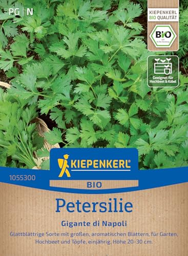 Kiepenkerl Petersiliensamen Gigante di Napoli 1055300 - BIO - Glattblättrige Sorte mit großen aromatischen Blättern - Pflanzen Samen, Saatgut, Kräutersamen