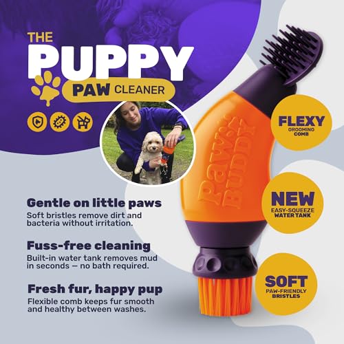 Paw Buddy - Hundepfotenreiniger und Tierhaarpflegebürste - Der schnellste Weg, um die Pfoten Ihres schlammigen Hundes mit 300 ml Wasser zu reinigen - mit Kammaufsatz zum Entfernen Loser Haare