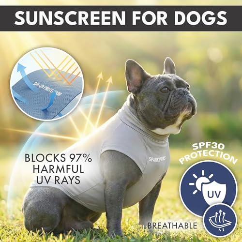 Spark Paws Sunblock Dog T-Shirt, SPF30 Protection, Lightweight Breathable Quick Dry for Dogs with Sensitive Skin - Blue & Grey (Set of 2) - 4XL - 1