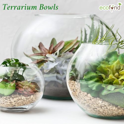 Image of ecofynd Glass Terrarium Bowl, Fish Bowl, Crystal Clear Aquarium Bowl for Fish, Round Bubble Vase for Events, Decorating, Xmas Home Decor, or Office Decor (Pack of 1, 8inch, GB001)