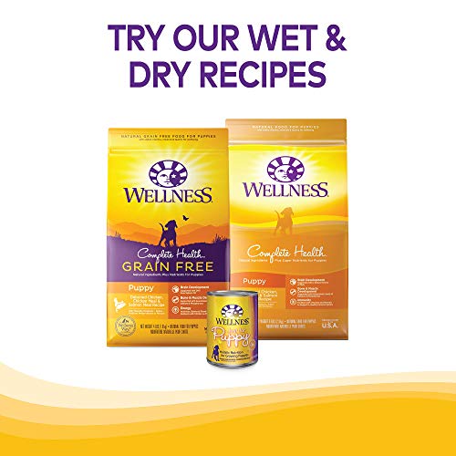 Wellness Soft Puppy Bites Natural Grain Free Puppy Training Treats, Lamb 