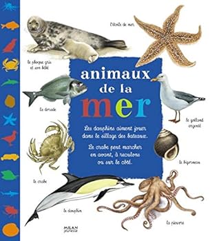 Board book Animaux de la mer [French] Book